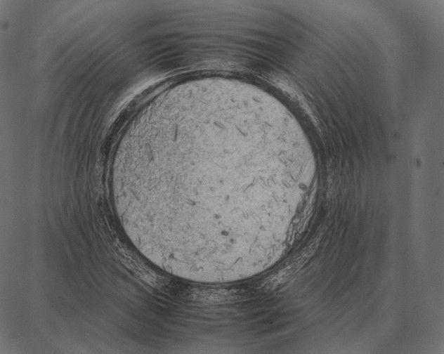 X0000087361019200705181146