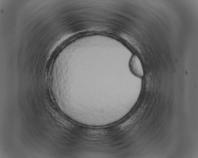 X0000087361021200705181146