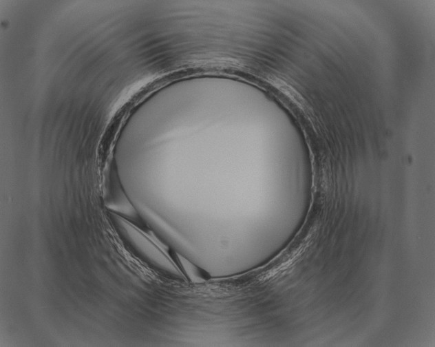 X0000087361022200705181146