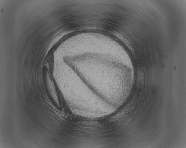 X0000087361023200705181146