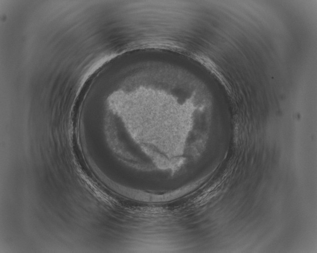 X0000087361024200705181146