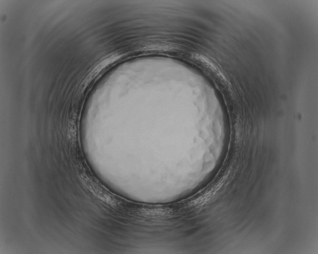 X0000087361025200705181146