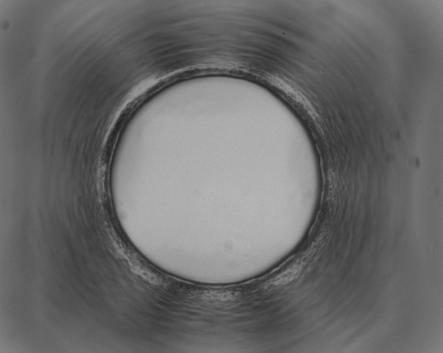 X0000087361029200705181146