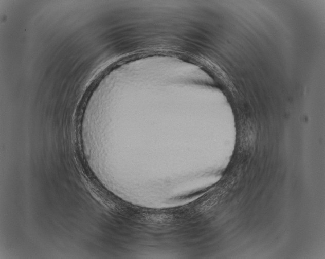 X0000087361031200705181146