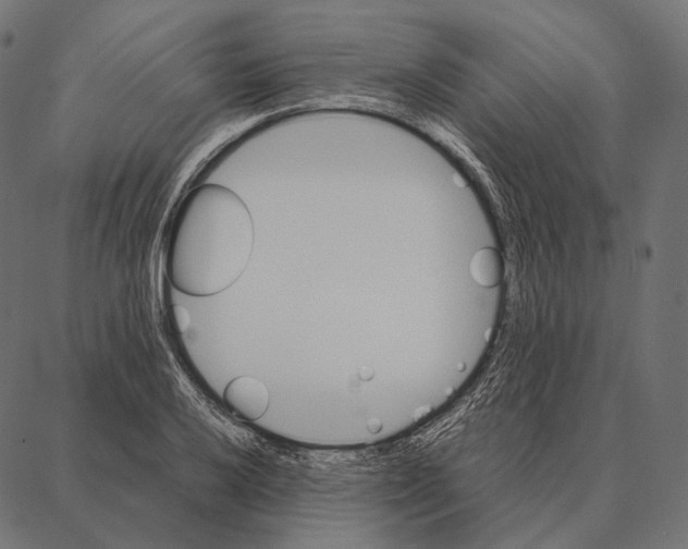 X0000087361032200705181146