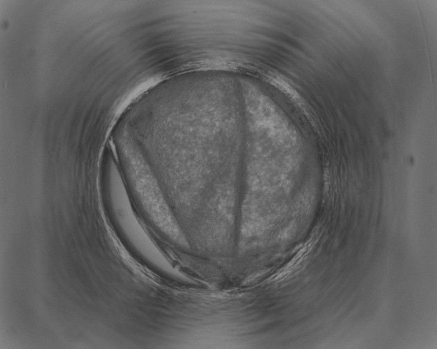 X0000087361034200705181146