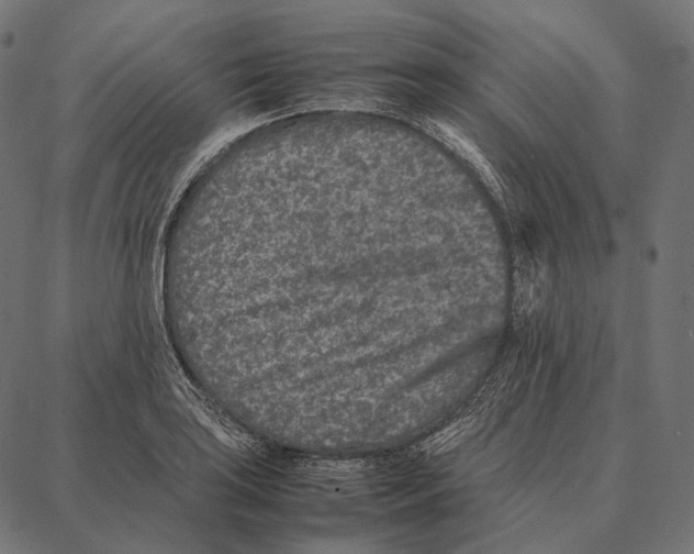 X0000087361035200705181146