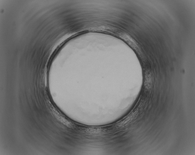 X0000087361036200705181146