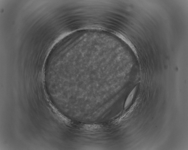 X0000087361037200705181146