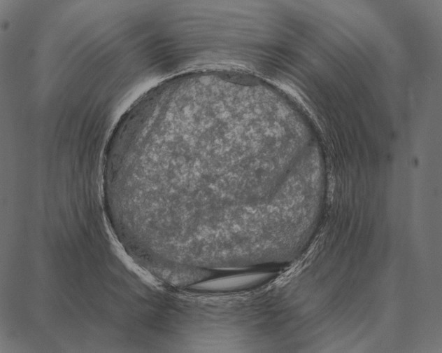 X0000087361038200705181146