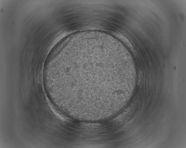 X0000087361039200705181146