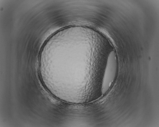 X0000087361040200705181146