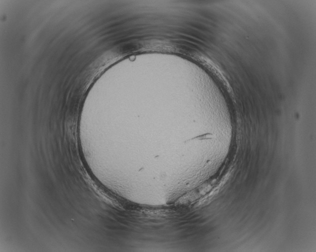 X0000087361041200705181146