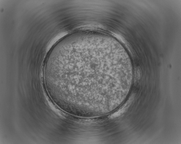 X0000087361042200705181146