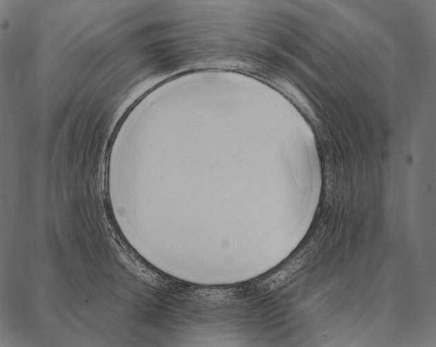 X0000087361044200705181146