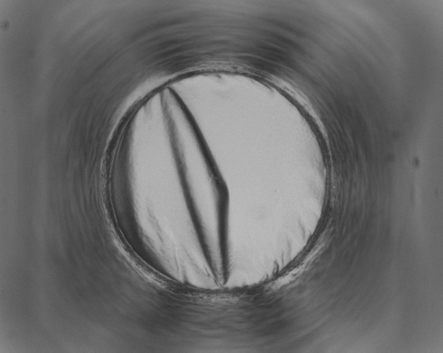 X0000087361045200705181146