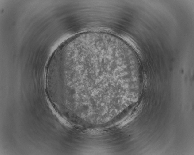 X0000087361046200705181146