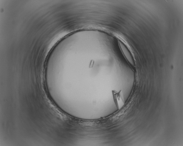 X0000087361048200705181146