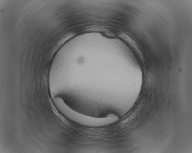 X0000087361049200705181146