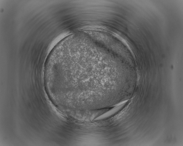 X0000087361050200705181146