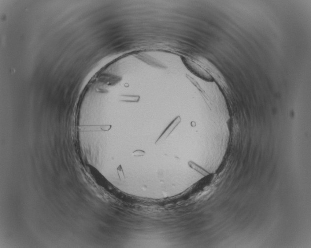 X0000087361052200705181147