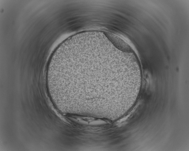 X0000087361053200705181147