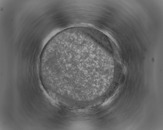 X0000087361054200705181147