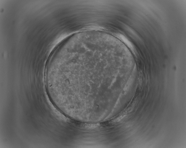 X0000087361055200705181147