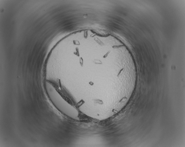 X0000087361056200705181147