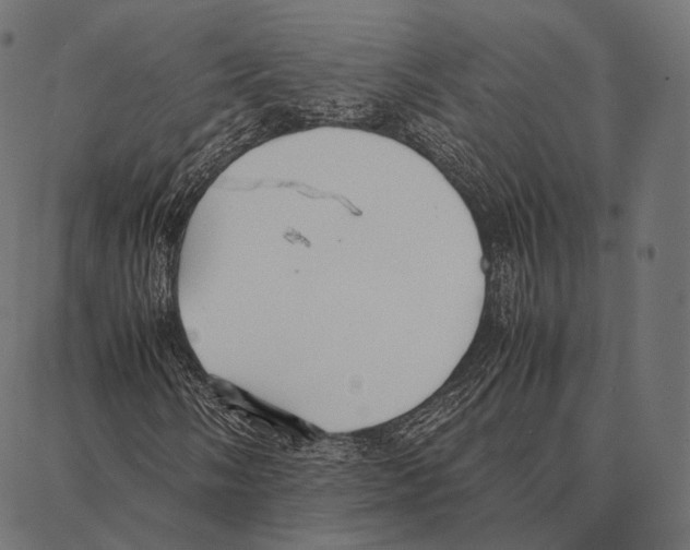 X0000087361058200705181146