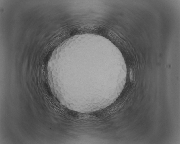 X0000087361059200705181146