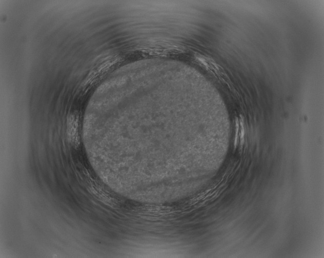 X0000087361060200705181146