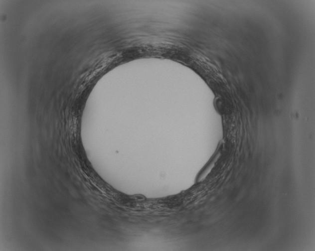 X0000087361061200705181146