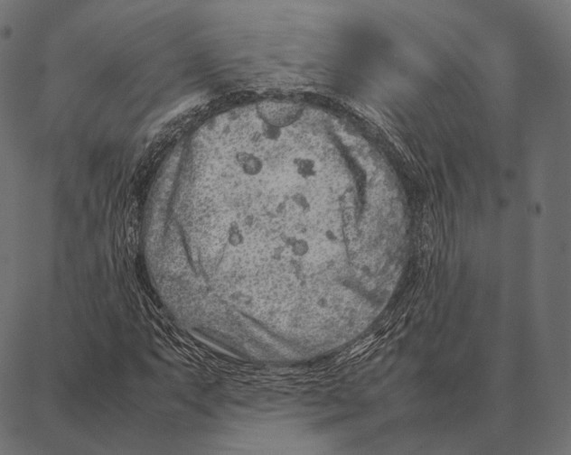 X0000087361063200705181146