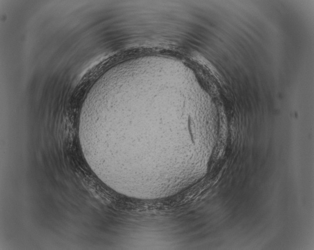 X0000087361064200705181146