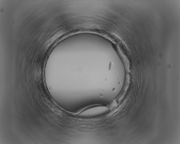 X0000087361065200705181146