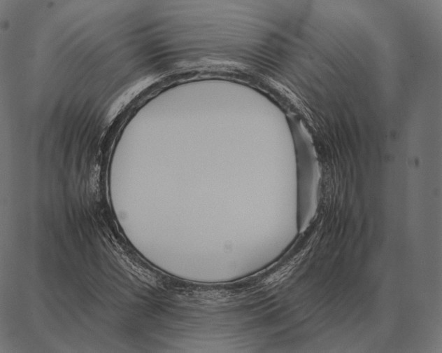 X0000087361066200705181146