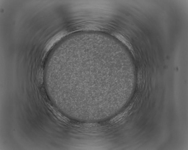 X0000087361067200705181146