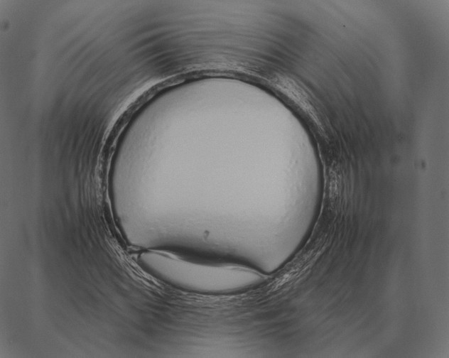 X0000087361068200705181146