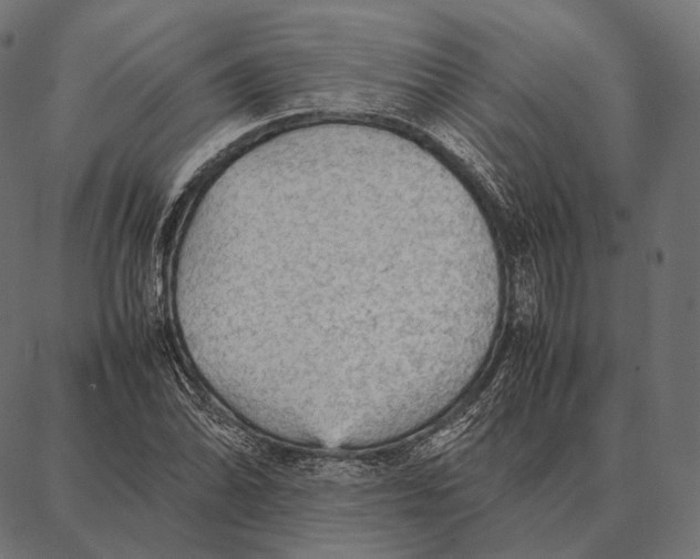 X0000087361070200705181146