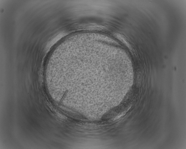 X0000087361071200705181146