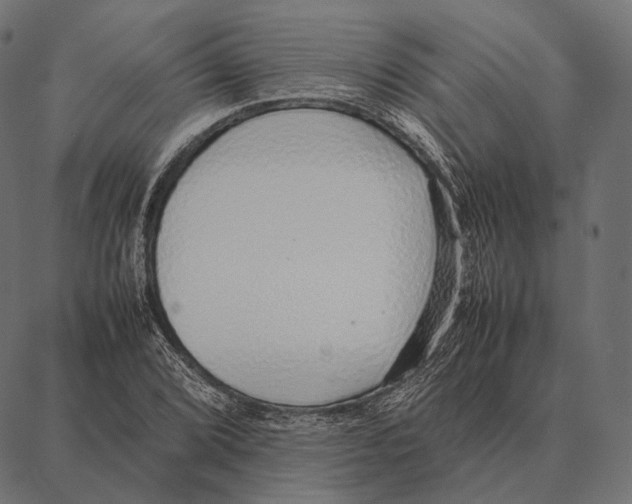 X0000087361072200705181146