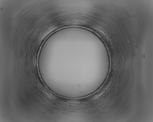 X0000087361073200705181146