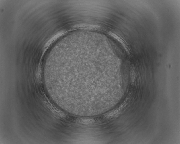 X0000087361074200705181146