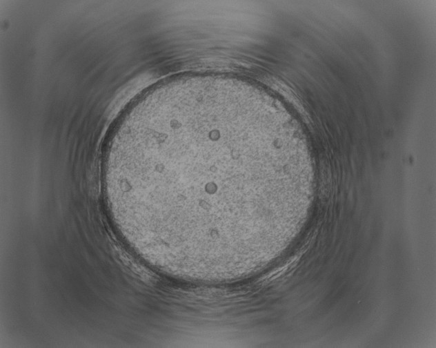 X0000087361075200705181146