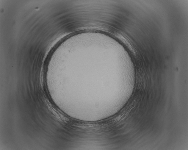 X0000087361076200705181146