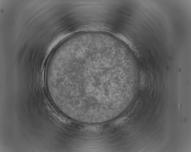 X0000087361078200705181145