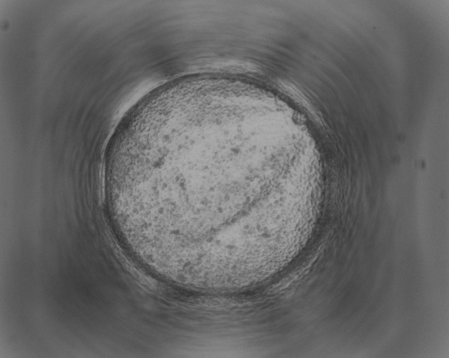 X0000087361079200705181145