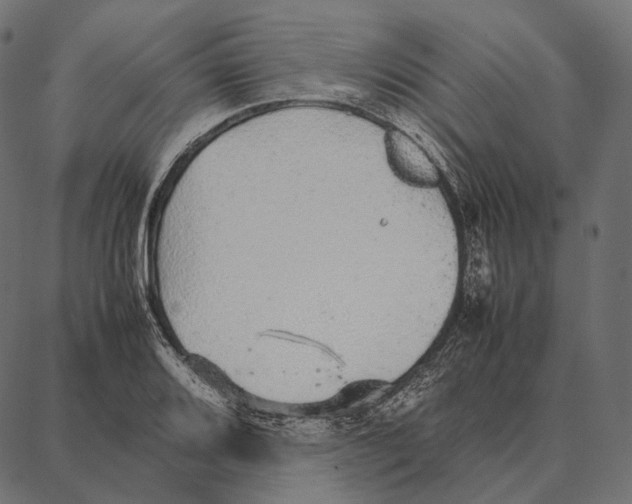 X0000087361080200705181145