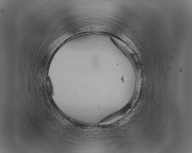 X0000087361081200705181145